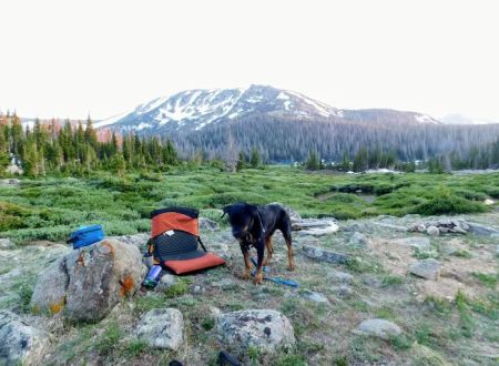 Camp Lake