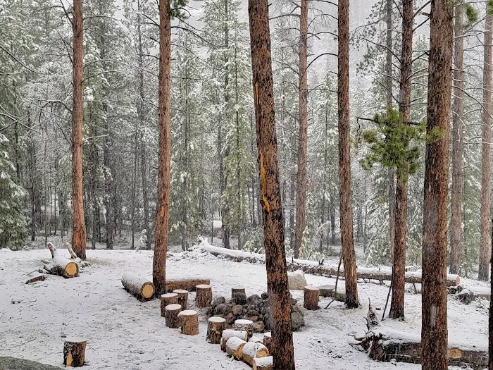 Aspen Glen Campground Picture 5