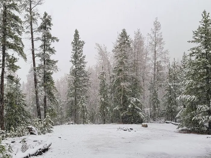 Aspen Glen Campground Picture 4