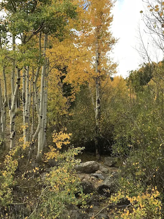 Aspen Glen Campground Picture 2