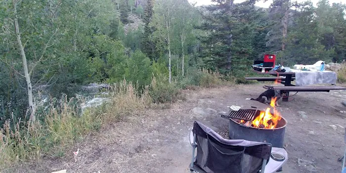Aspen Glen Campground Picture 3