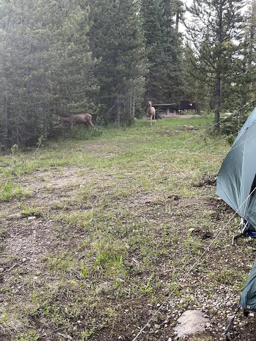 Long Draw Campground Picture 10