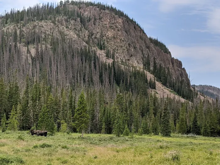 Long Draw Campground Picture 7