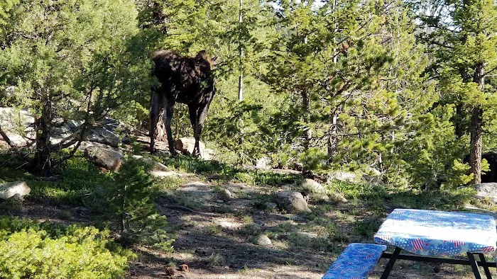 Bobcat Campground Picture 7