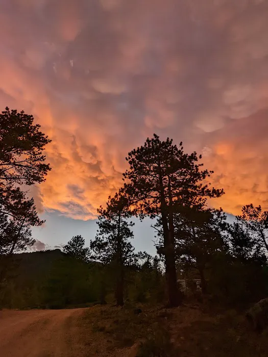 Bobcat Campground Picture 5