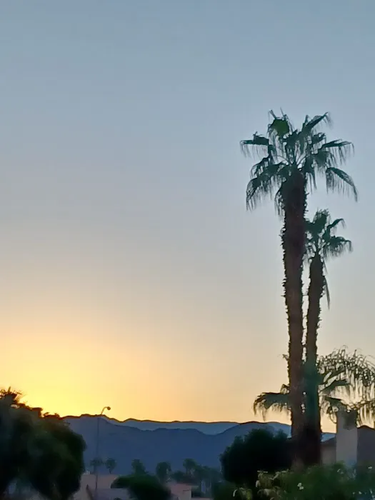 Desert Grove Adult Community Picture 6