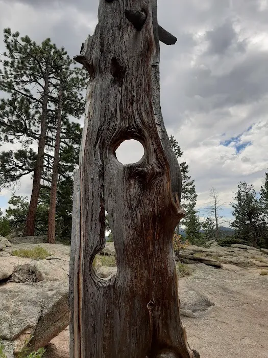 Hermit Park Open Space Picture 6