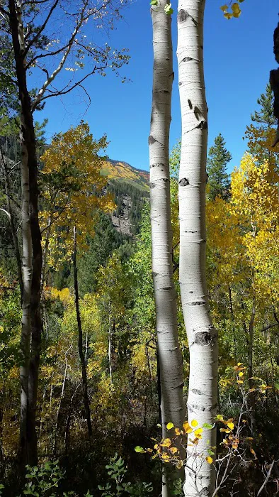 Difficult Campground Picture 2