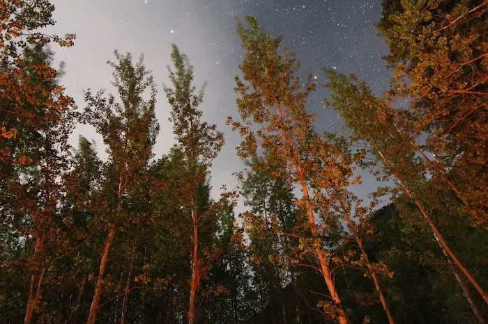 Difficult Campground Picture 6