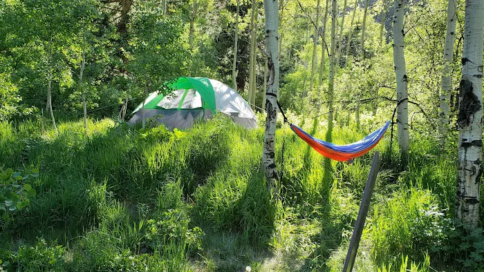 Silver Bar Campground Picture 8