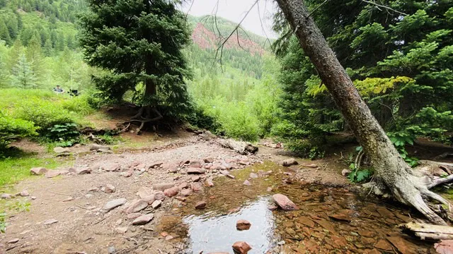 Silver Bar Campground Picture 4