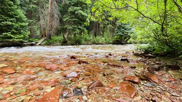 Silver Bar Campground Picture 3