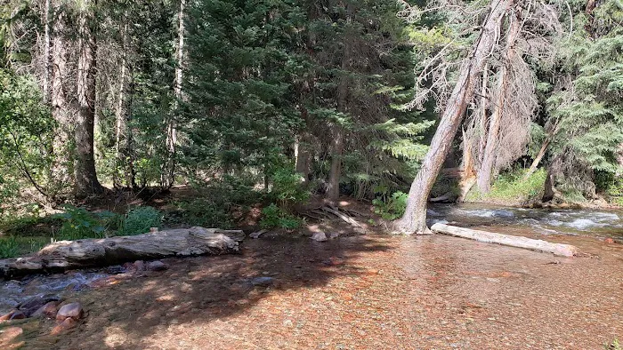 Silver Bar Campground Picture 7