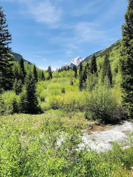 Silver Bell Campground Picture 6