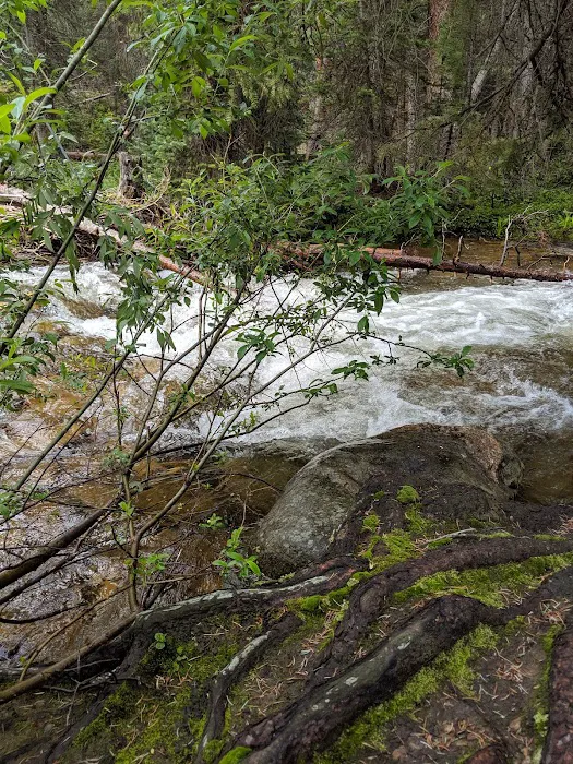 Lost Man Campground Picture 6