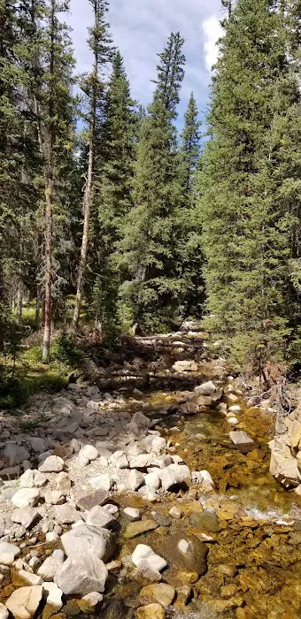 Lost Man Campground Picture 5