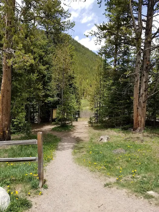 Lost Man Campground Picture 4