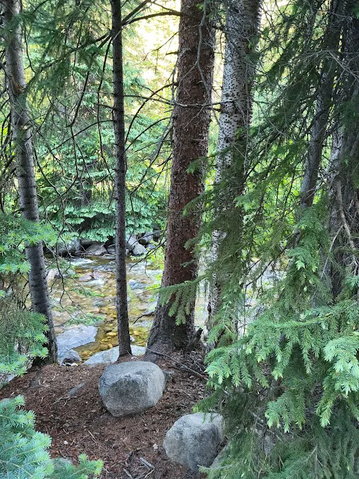 Upper Grottos Campground Picture 8