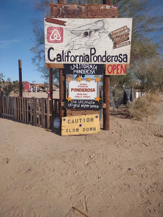California Ponderosa Picture 2