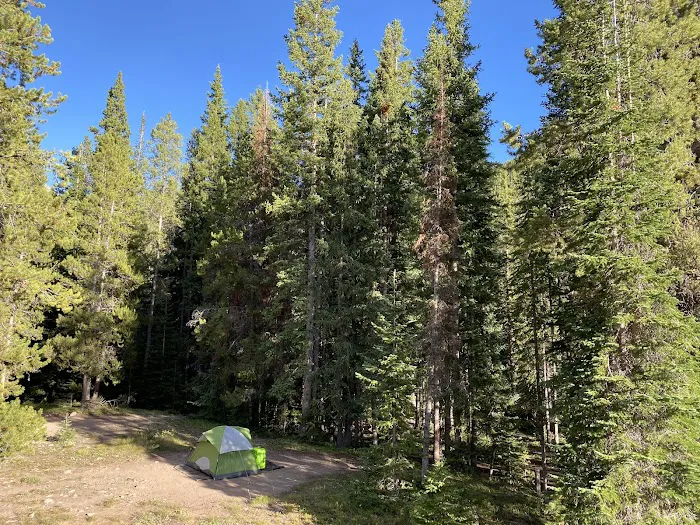Lincoln Gulch Campground Picture 8