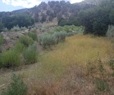 Lyons Gulch Campground & River Access