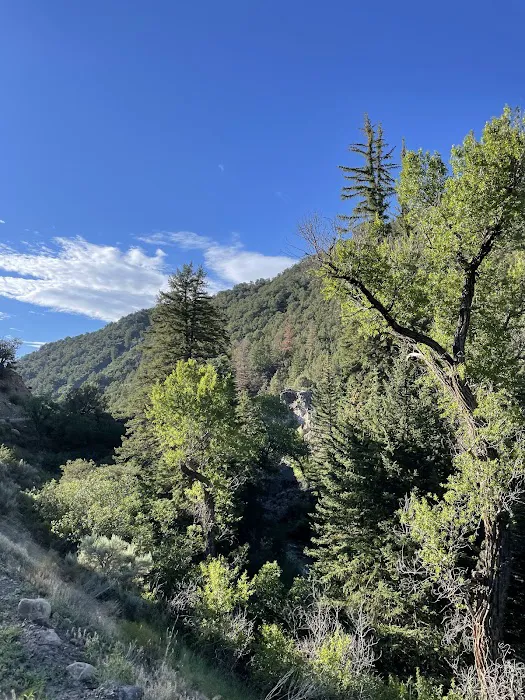 Deep Creek Camping Picture 6