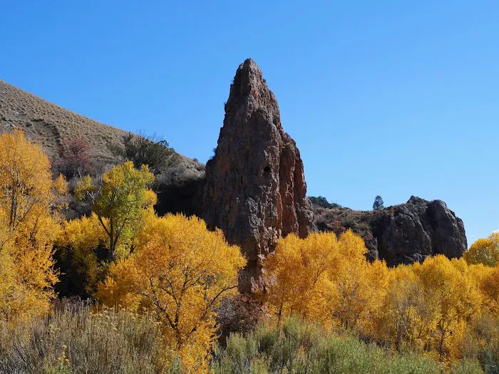 Coffee Pot Spring Campground Picture 10