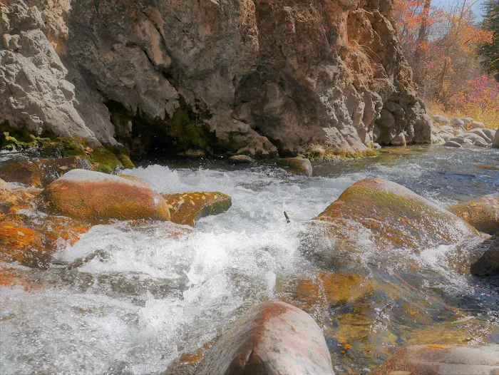 Coffee Pot Spring Campground Picture 4