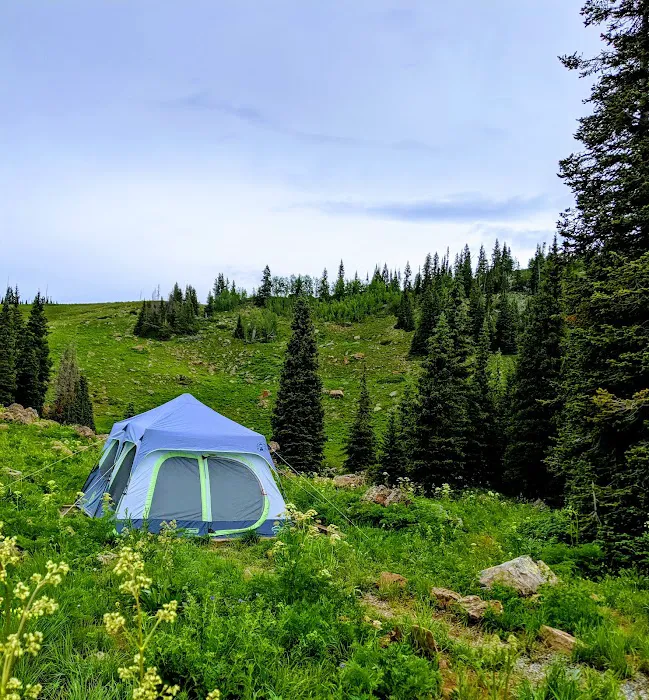 Deep Lake Campground Picture 2