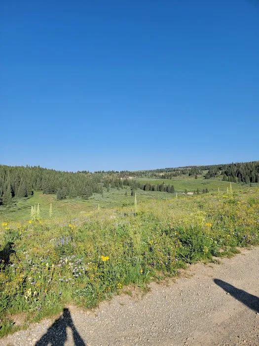 Deep Lake Campground Picture 7