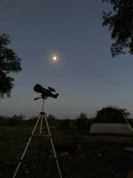 Phrog and Munkey camping Picture 2