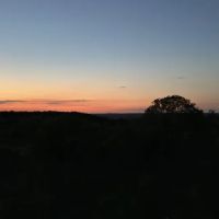 Phrog and Munkey camping ico