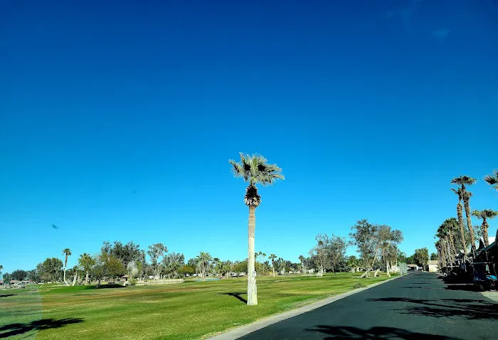 Desert Trails RV Park Picture 8