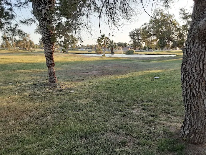 Desert Trails RV Park Picture 4