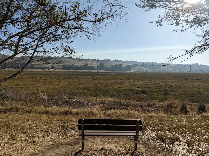 Benicia State Recreation Area Camping Picture 8