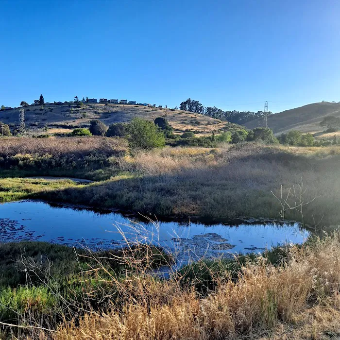 Benicia State Recreation Area Camping Picture 5