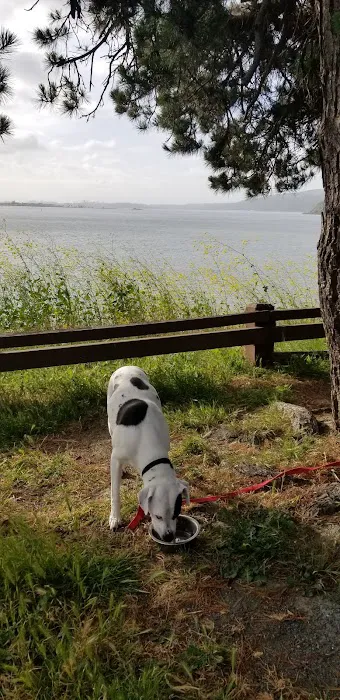 Benicia State Recreation Area Camping Picture 2