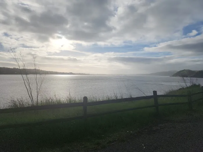 Benicia State Recreation Area Camping Picture 9