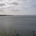 Benicia State Recreation Area Camping