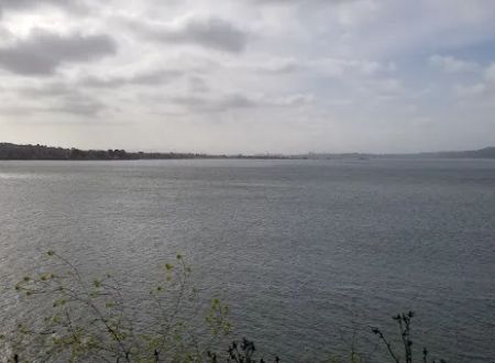Benicia State Recreation Area Camping