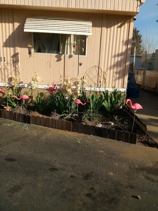 Las Casitas-Yucaipa MHP Picture 5