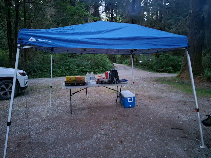 Coppermine Bottom Campground Picture 2