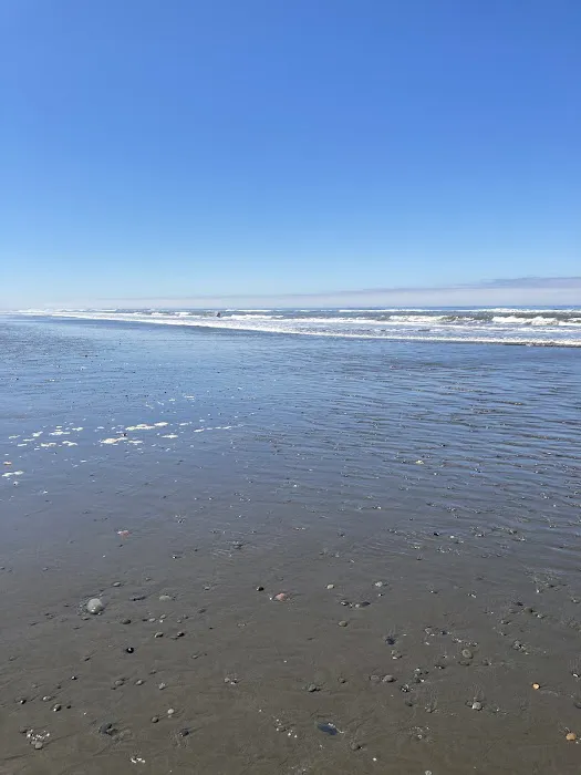South Beach Campground Picture 1