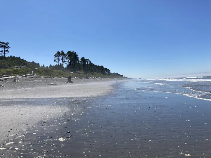 South Beach Campground Picture 2