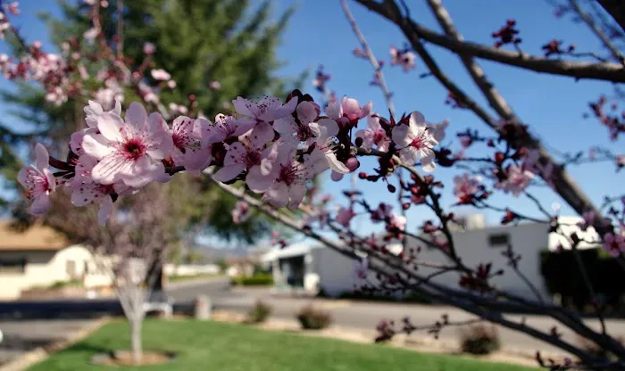 Valley View Mobile Home Park Picture 3