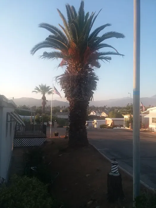 Valley View Mobile Home Park Picture 4