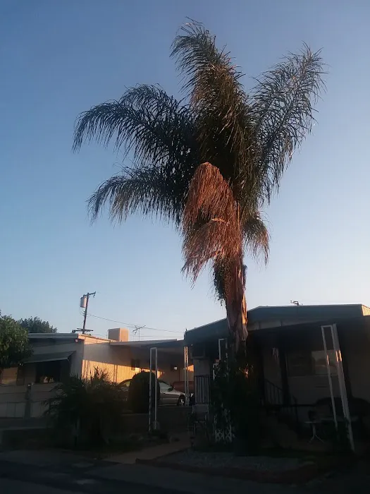 Valley View Mobile Home Park Picture 6