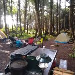 Kalaloch Campground