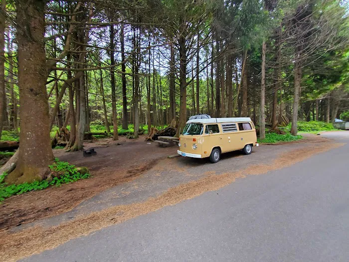 Kalaloch Campground Picture 2