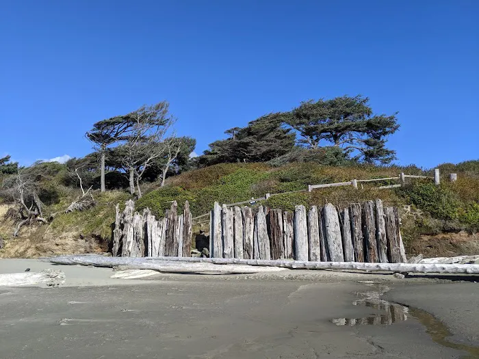 Kalaloch Campground Picture 3
